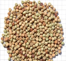 Zim Trade Holdings SPK | Grains